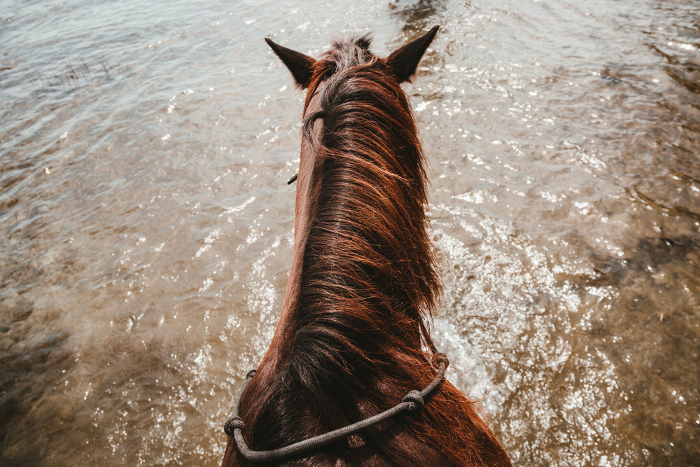 riding horseback