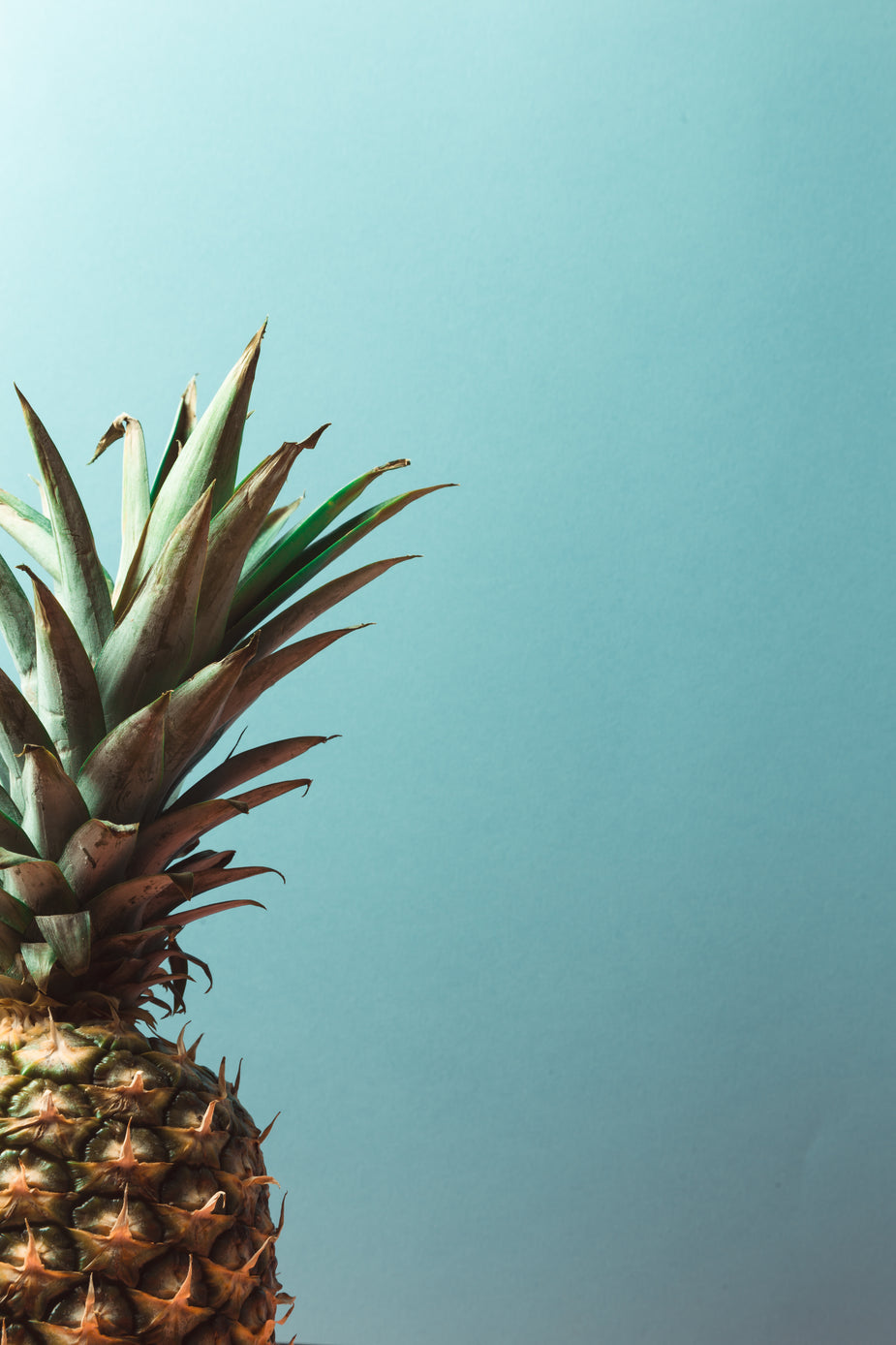 https://burst.shopifycdn.com/photos/ripe-pineapple-sits-against-a-blue-background.jpg?width=925&format=pjpg&exif=0&iptc=0