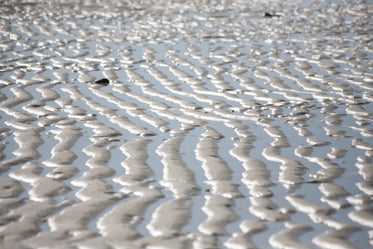 rippled ocean beach sand