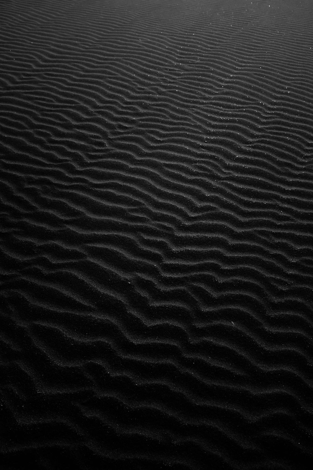 black and white beach background