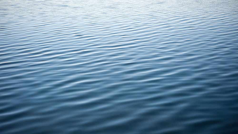 ripples on the lake