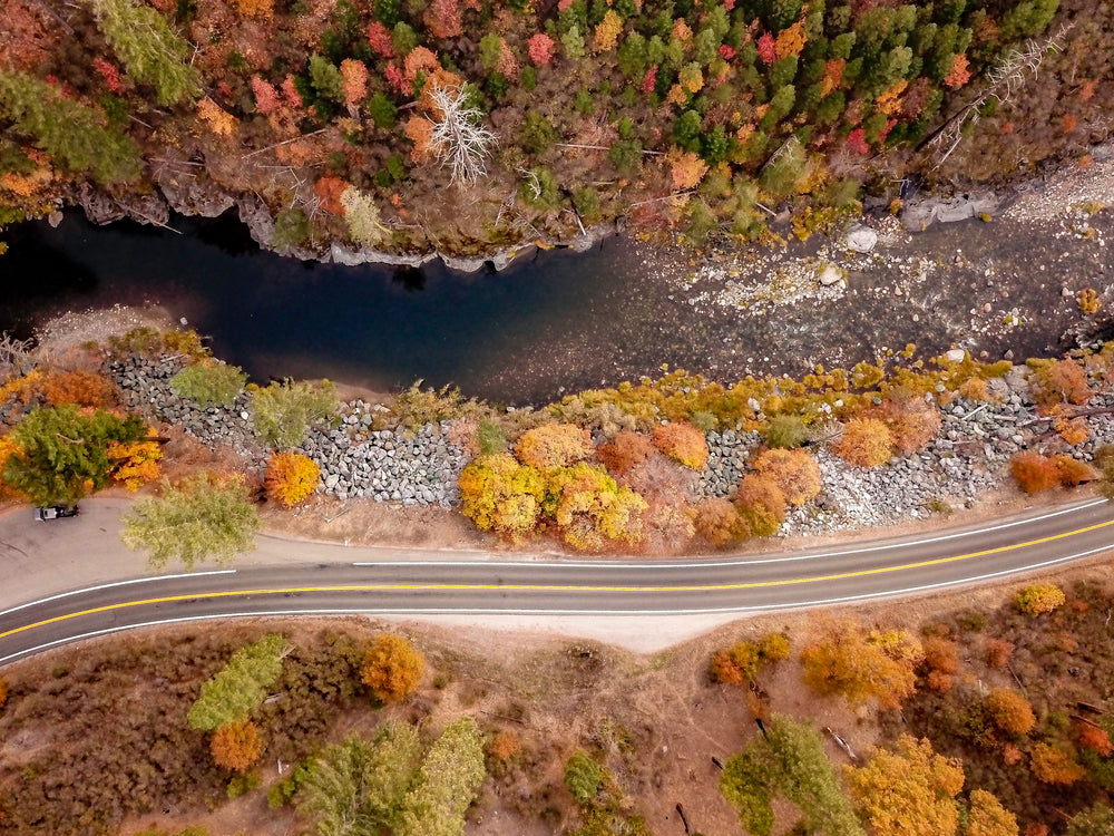 流动的河through autumn landscape