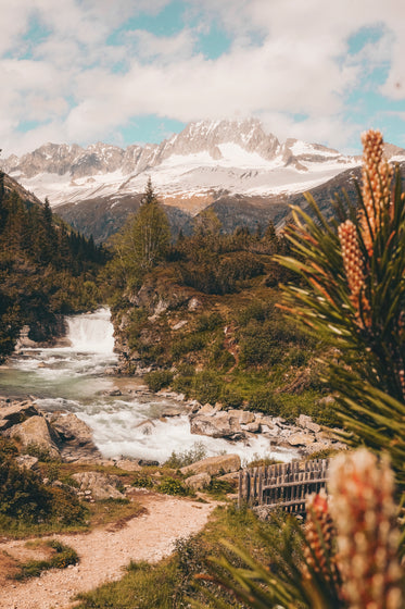 river flows through the lush mountains