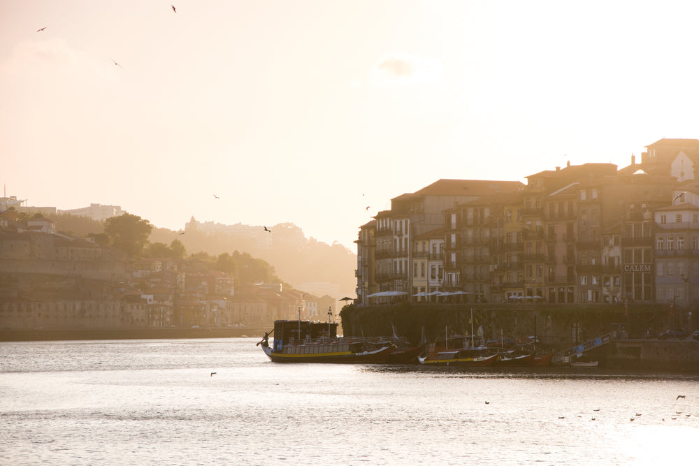 river lined with colorful buildings and boats