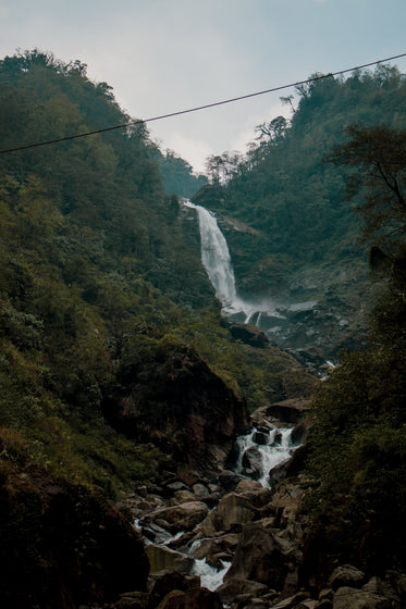 river of water through the lush hillside