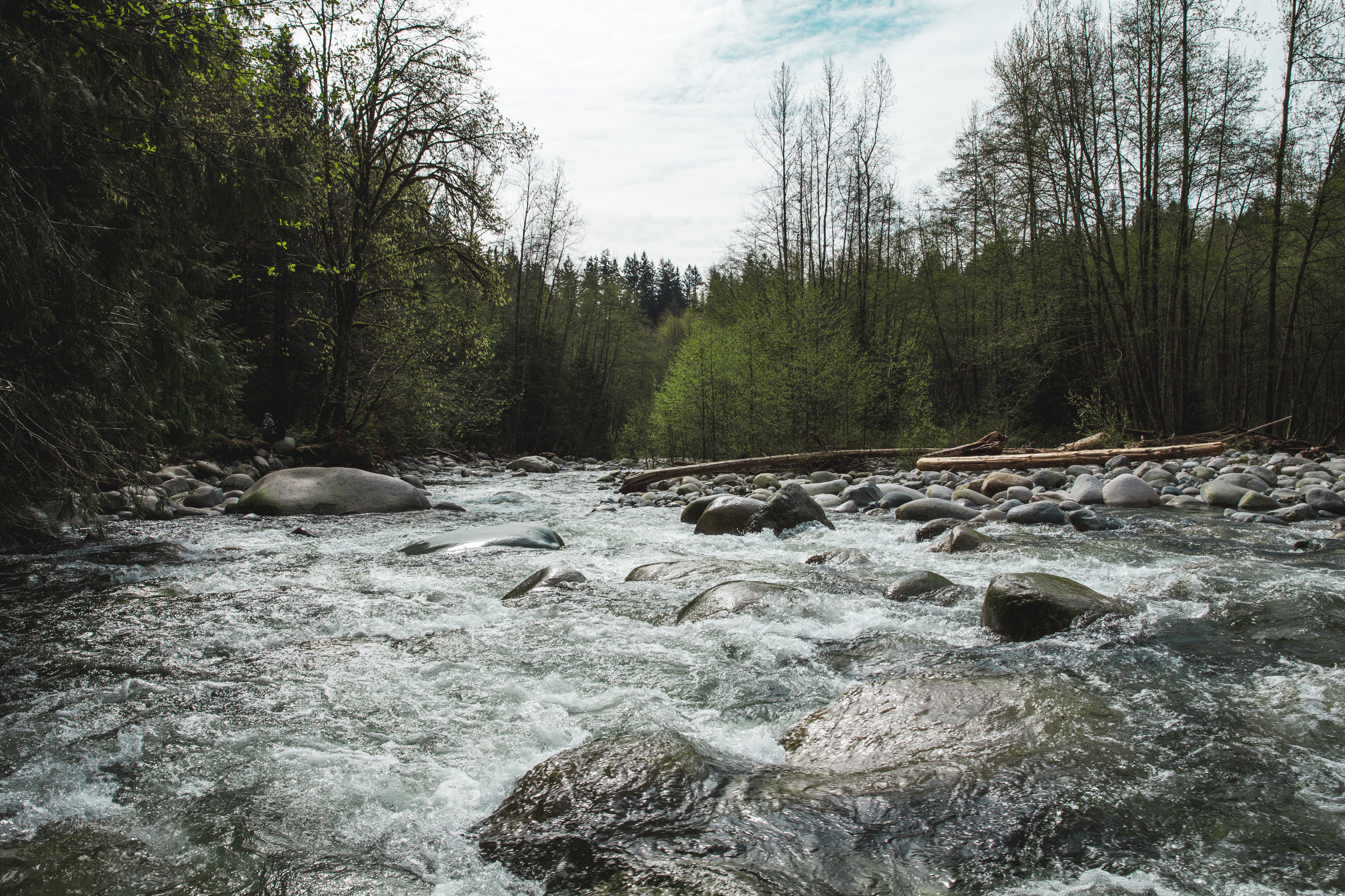 Free River Rapids Photo — High Res Pictures, image size:5472x3648