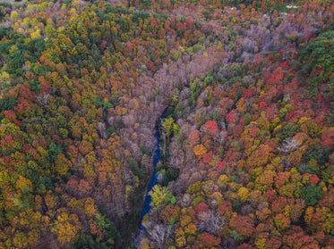 river running through autumn landscape