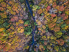 river runs through fall tree colors