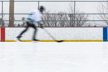 road runner plays hockey