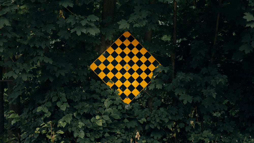 road sign meaning dead end among green trees