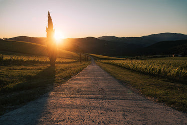 road through mountains under setting sun