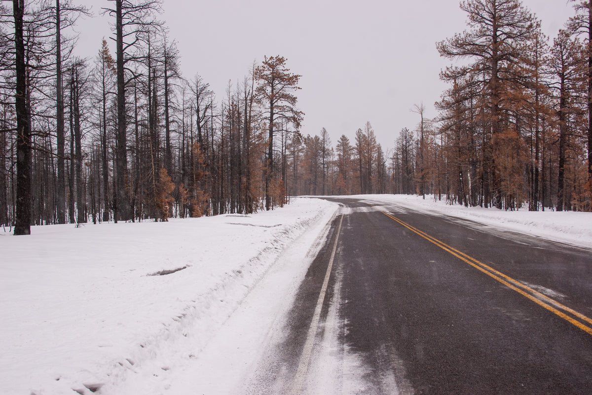 road through snowy woods