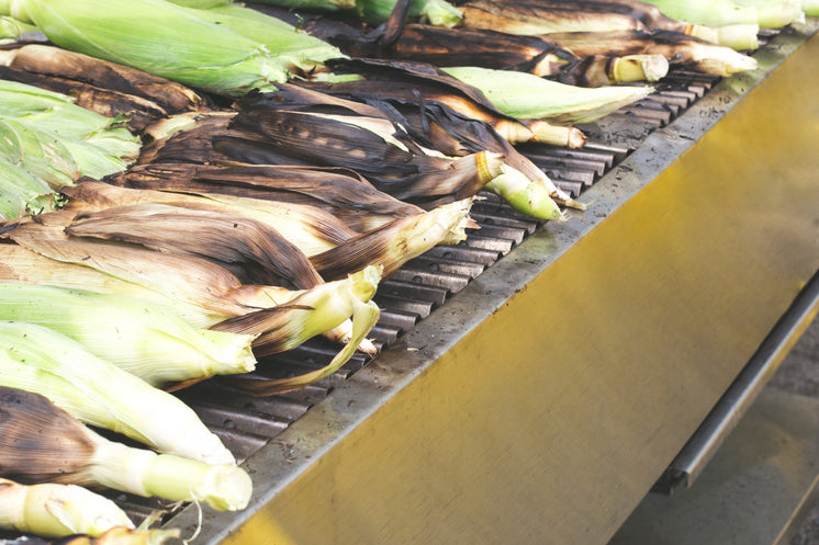 roasting-corn-cobs.jpg?width=746&format=pjpg&exif=0&iptc=0