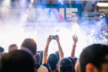 rock concert audience