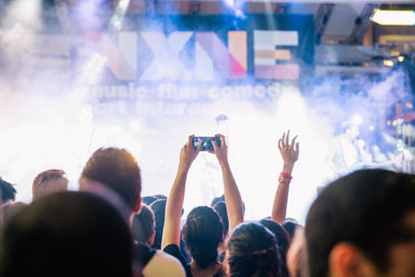 rock concert audience