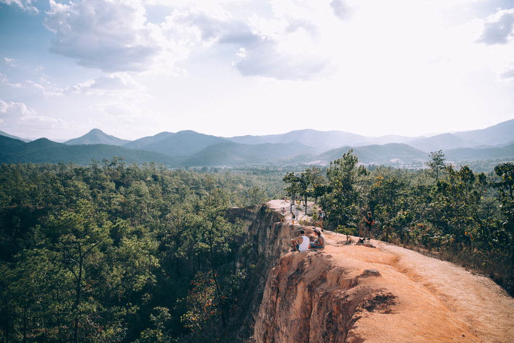 rock face overlooking a forest