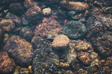 rocks in the shallow waters