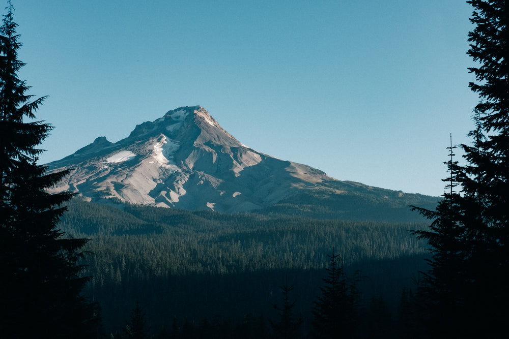 rocky mountain above evergreen forest