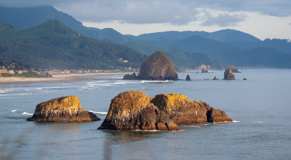 rocky sea by forested mountains