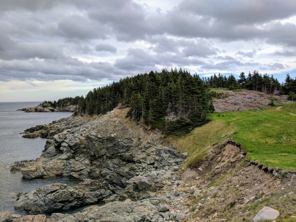 rocky lakeshore clouded sky