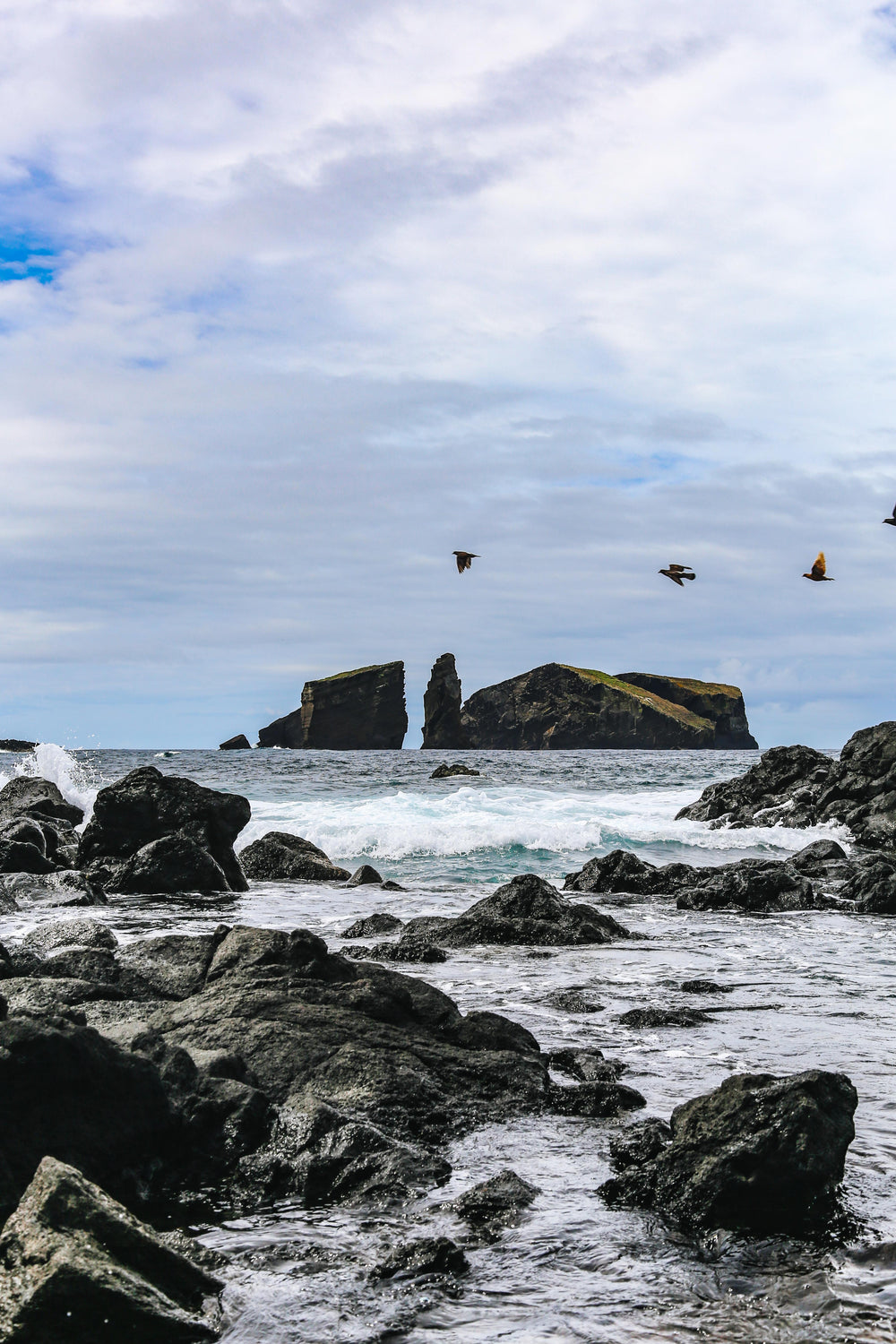 rocky shores with birds flying by