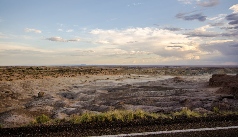 rolling desert