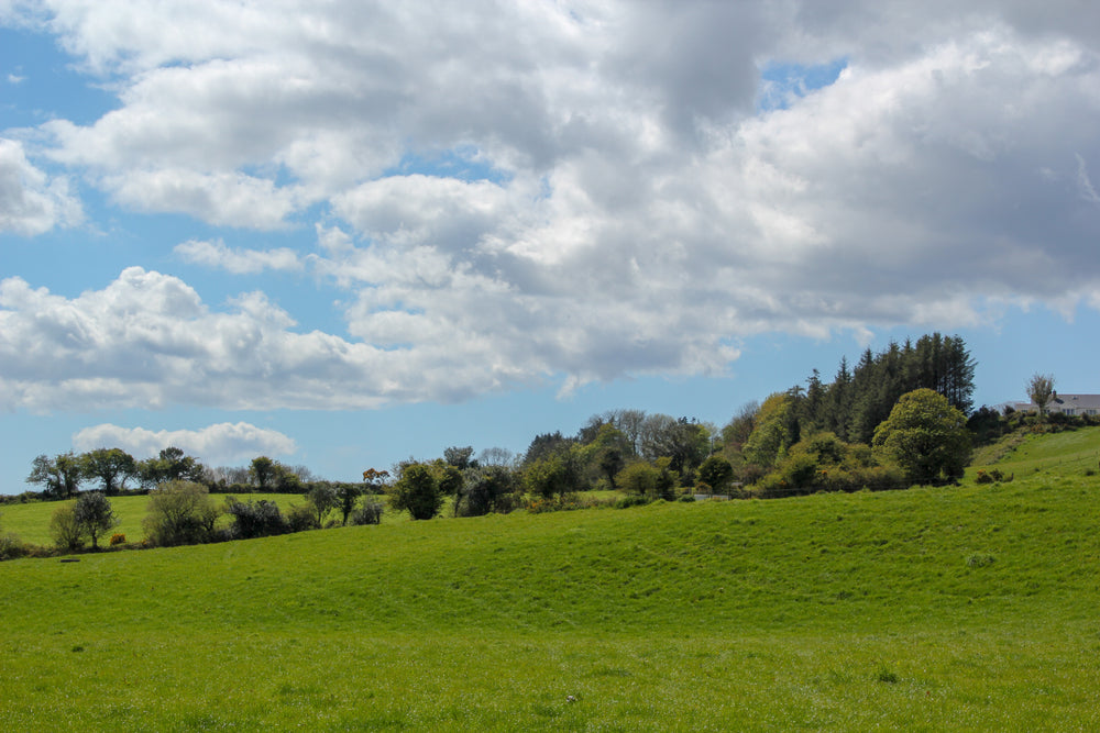 rolling grassy hillside under blue sky with puffy clouds