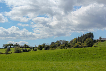 rolling grassy hillside under blue sky with puffy clouds