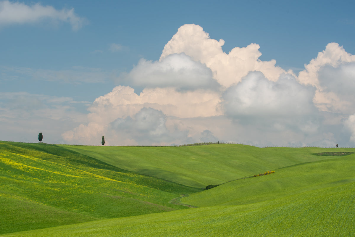 rolling green hills under puffy white clouds and blue skies