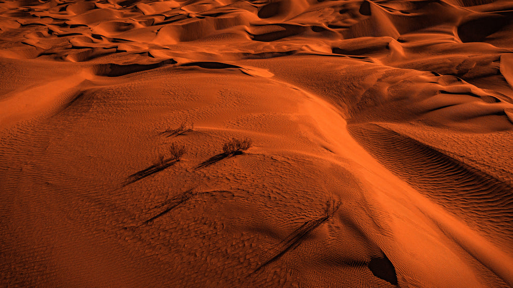 Rolling Orange Sand With Scattered Shrubs