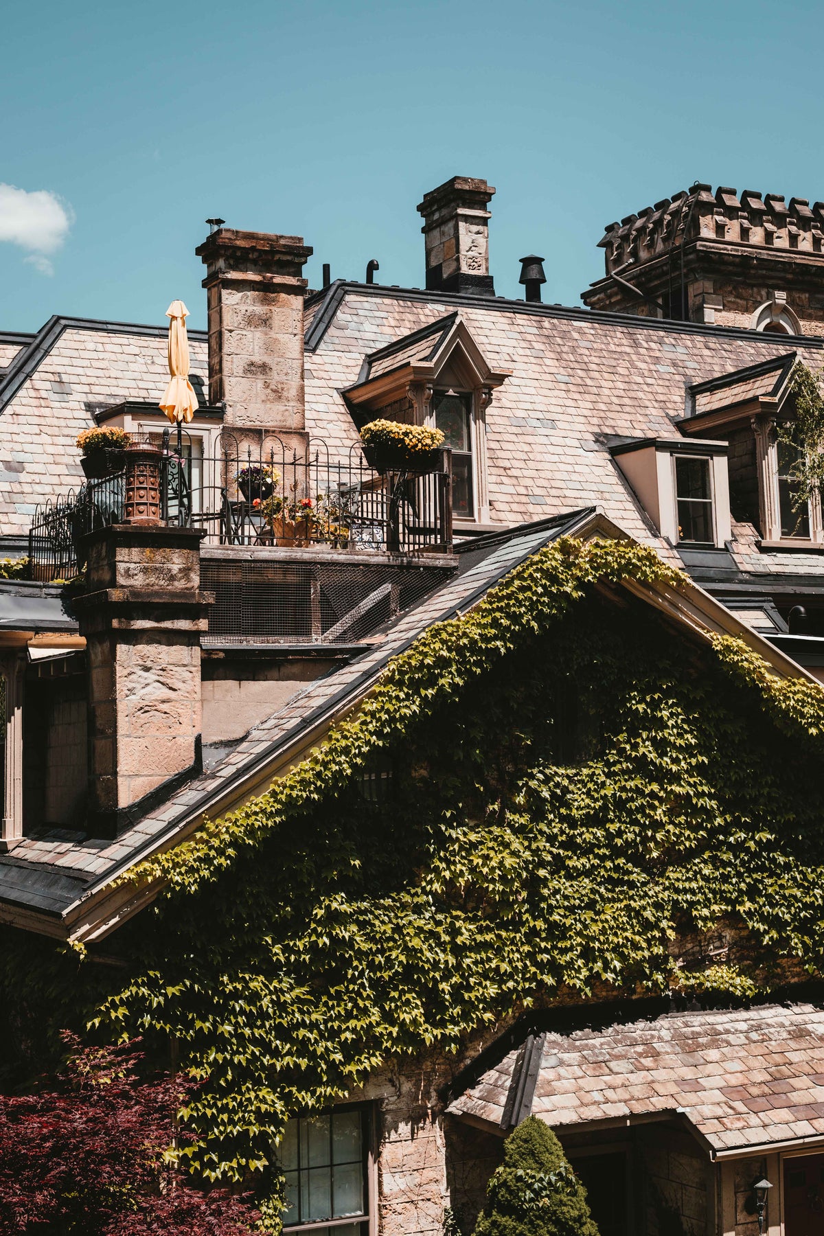 爬满常春藤的房子顶上的浪漫阳台
