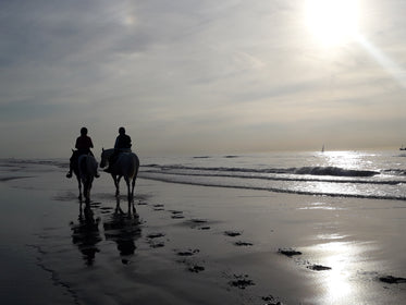 romantic horseback riding by ocean