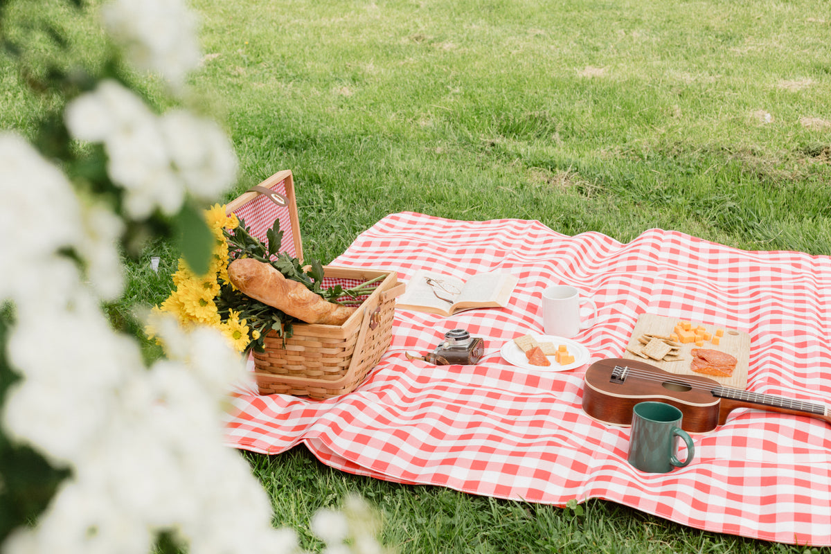 romantic picnic in the grass