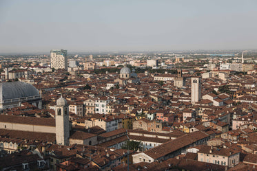 roofs tops overlooking a packed city