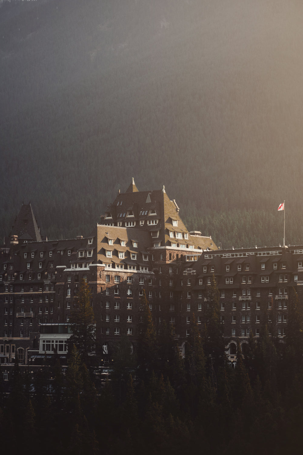 rooftop captures the sunlight below a mountain of trees