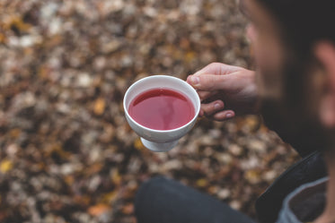 rooibos looseleaf tea