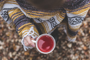 rooibos tea