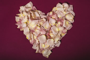 rose petal heart