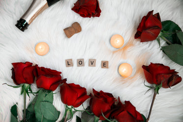 Free Stock Photo of Roses And Love Letters — HD Images