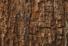 rotting wood texture