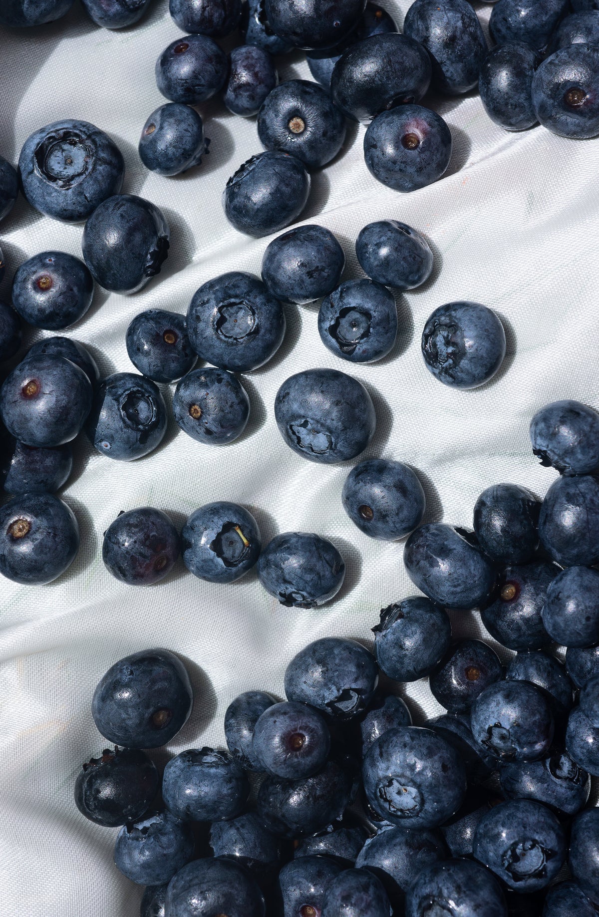 round ripe blueberries on white fabric