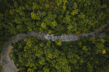 rover river from above