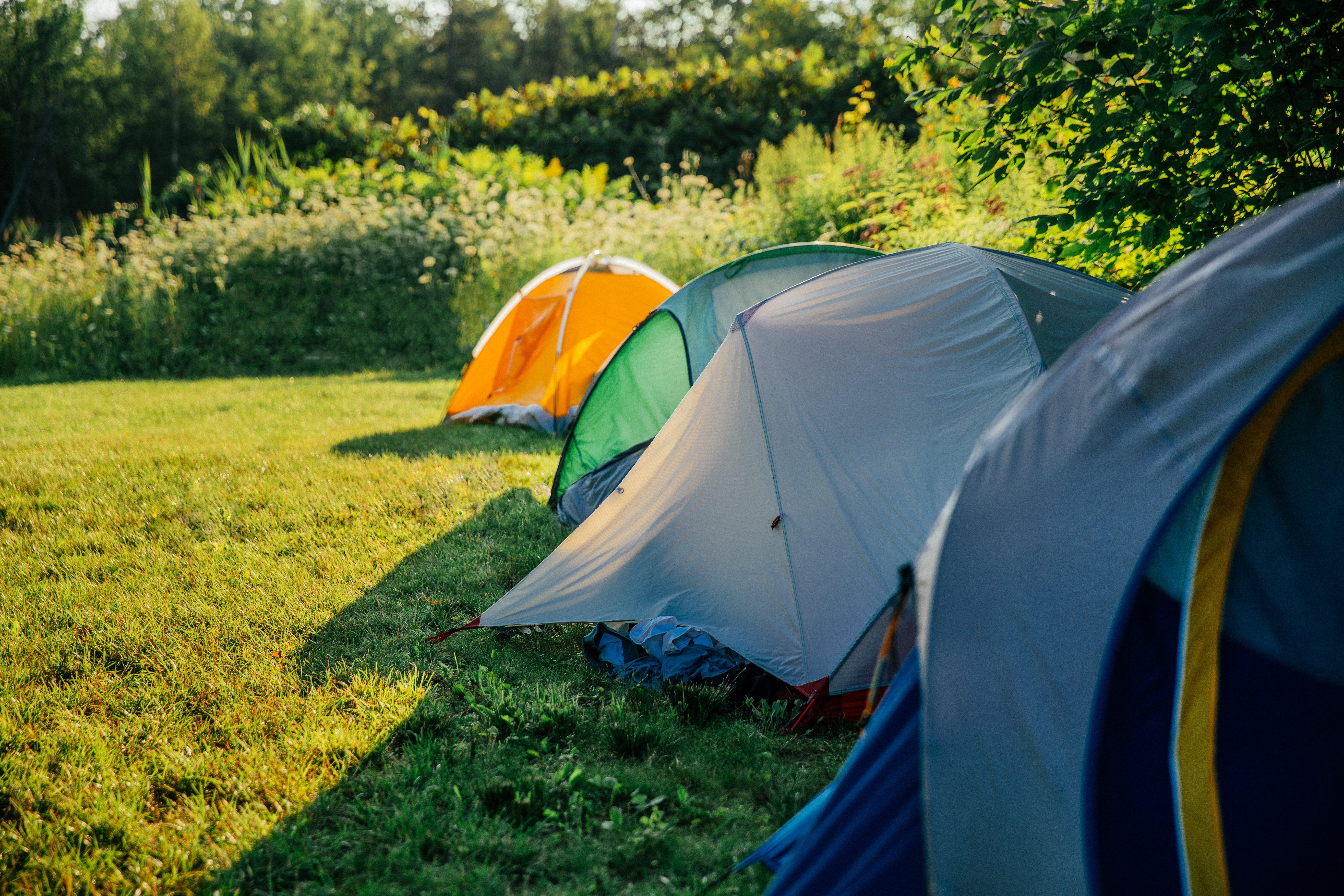 as camp as a row of tents Free Stock Photo of Row Of Camping Tents — HD Images
