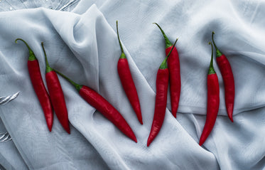 row of hot peppers