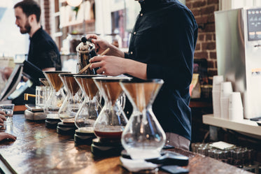row of pour over coffee being brewed