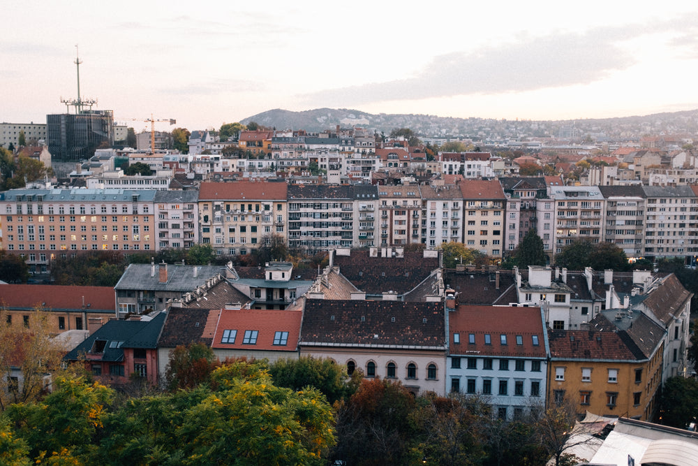 rows of buildings surrounded by trees