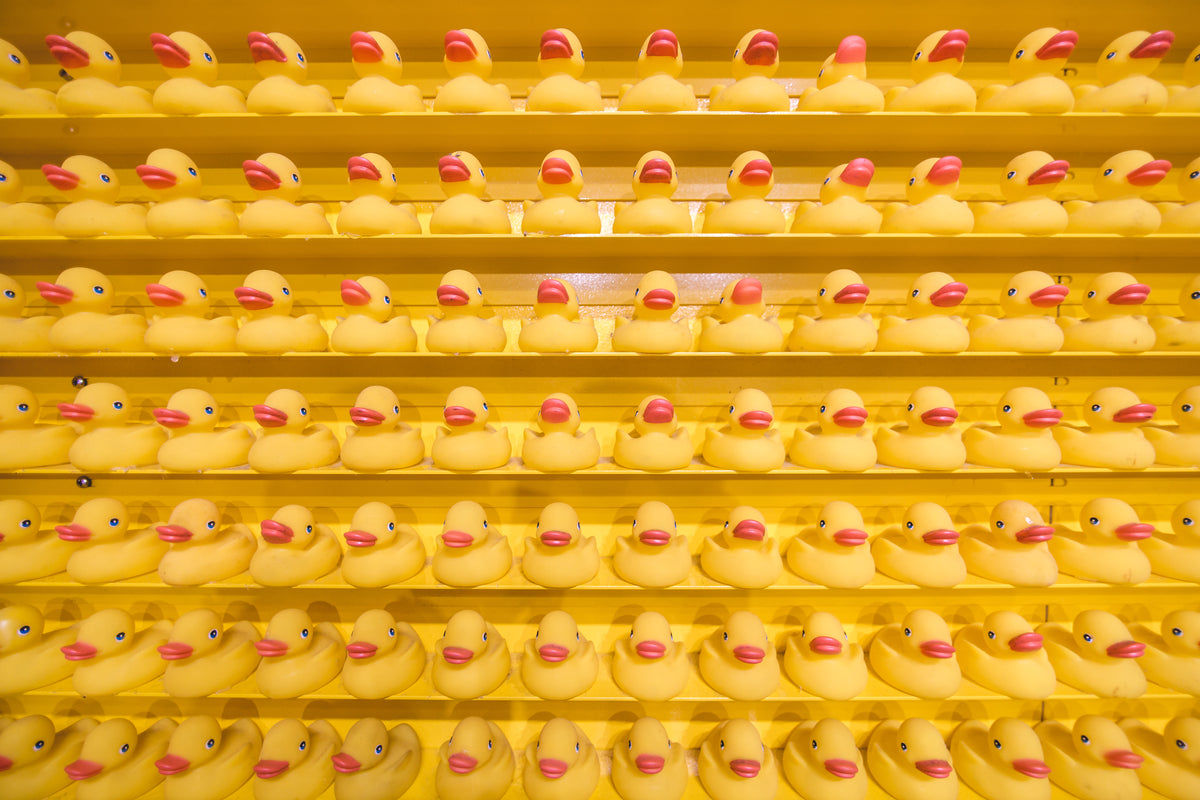 rows of rubber duck toys