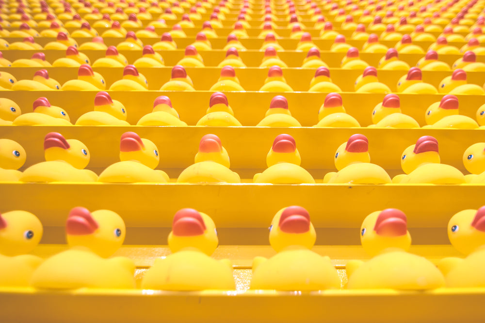 rows of yellow toy ducks