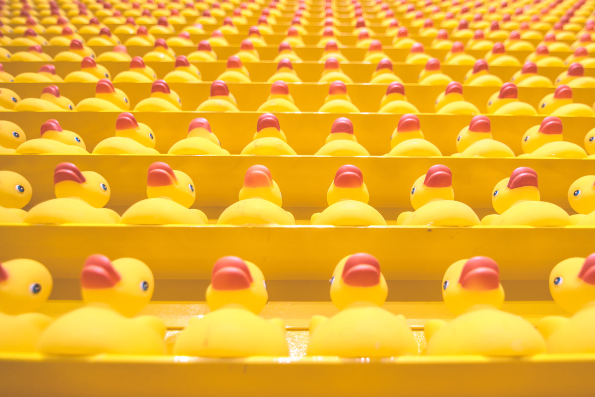 rows of yellow toy ducks