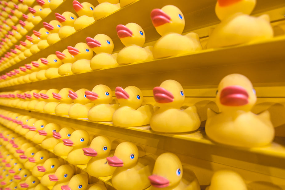 Variety Of Rubber Ducks Stock Illustration - Download Image Now